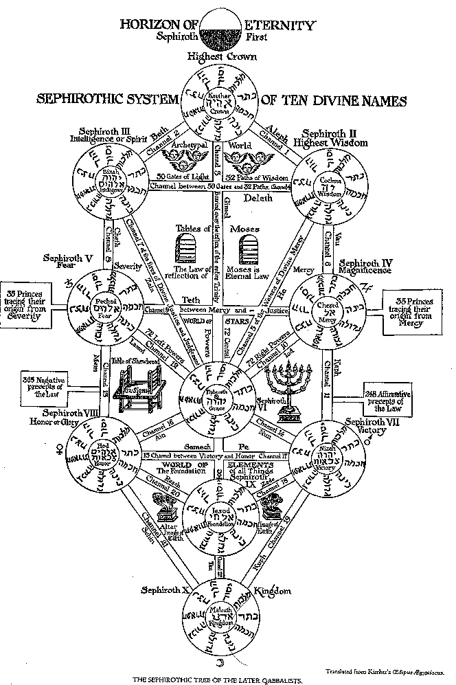 tree of life. Outline of Survey Tree of Life