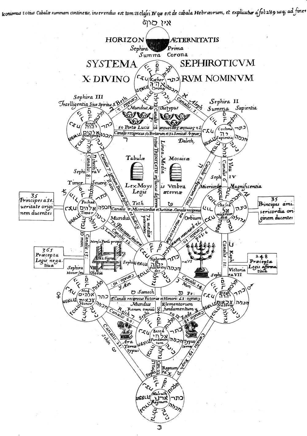 The Tree of Life Below the Veil 6 Week Series